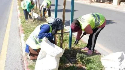 Soma’nın Sokakları Kadınların Emeğiyle Renkleniyor
