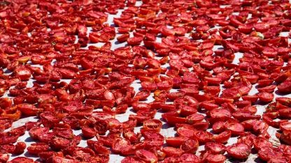 Türkiye, kuru domates ihracatında dünya ikincisi