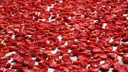 Türkiye, kuru domates ihracatında dünya ikincisi