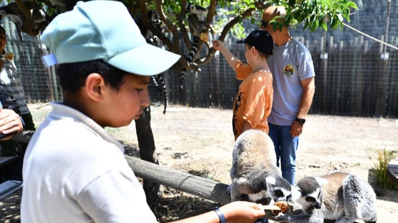 Ara Tatilde İzmir Doğal Yaşam Parkı’na Yoğun İlgi