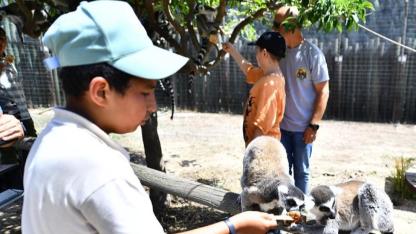 Ara Tatilde İzmir Doğal Yaşam Parkı’na Yoğun İlgi