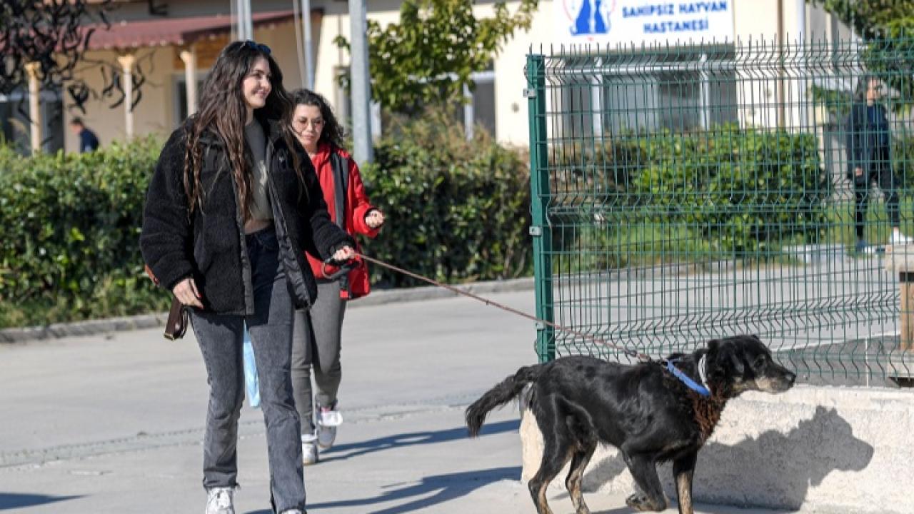 Büyükşehir, Çörekçi’nin canlarına sahip çıktı