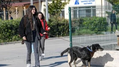 Büyükşehir, Çörekçi’nin canlarına sahip çıktı