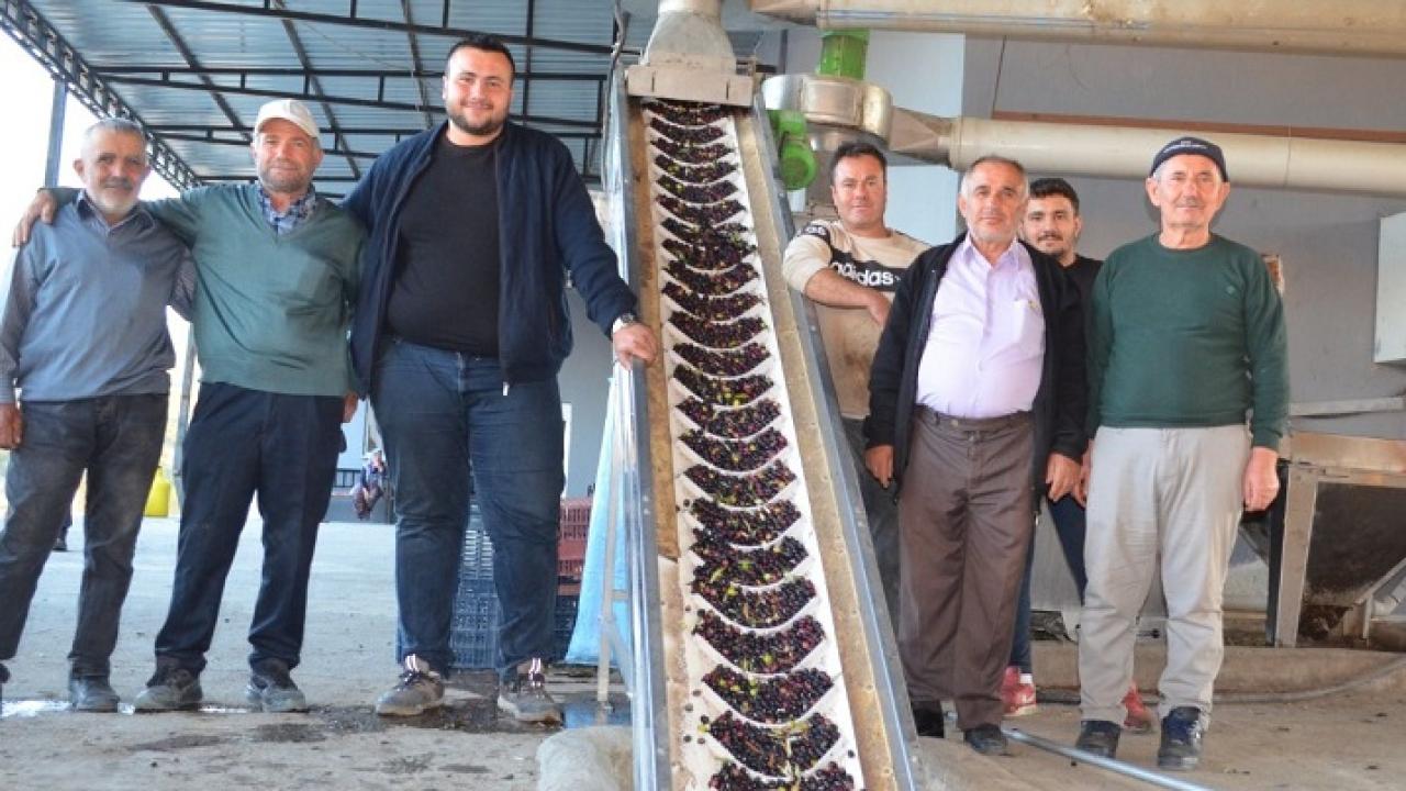 Demirci’de Zeytinyağı Mesaisi Başladı!