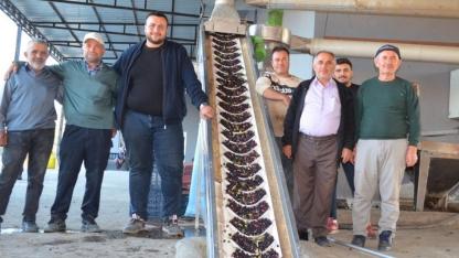 Demirci’de Zeytinyağı Mesaisi Başladı!