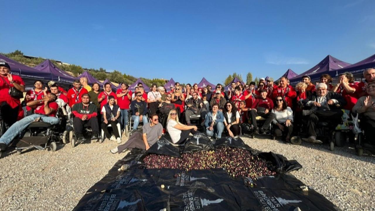 Engelli yurttaşlar zeytin hasadında buluştu