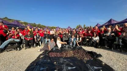 Engelli yurttaşlar zeytin hasadında buluştu