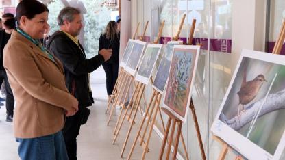 Foça’da Yaban Hayatı Sergisi Açıldı