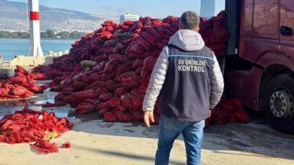 İzmir’de 27 Ton Kaçak Midye Ele Geçirildi