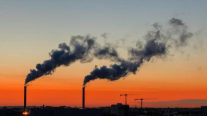 Kirlenen Hava, Solan Hayat