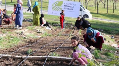 Mahalle Bostanlarında Kış Mesaisi Başladı