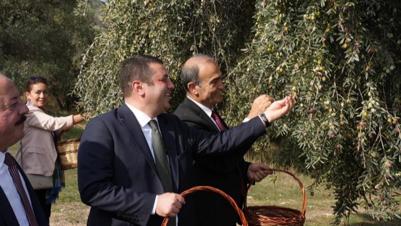 Metropolis’te Zeytin Sezonu Açıldı