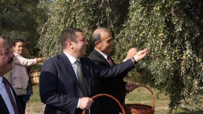 Metropolis’te Zeytin Sezonu Açıldı