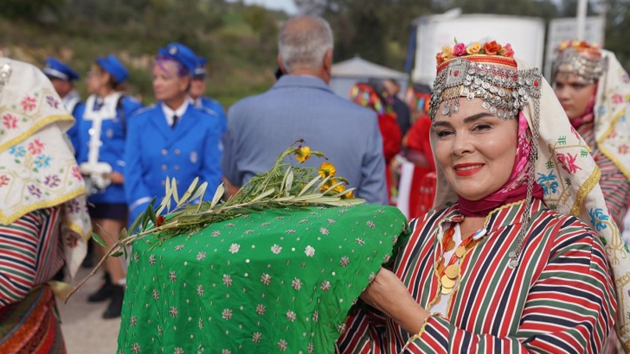 Orhanlı’da zeytin bereketi festivali başladı