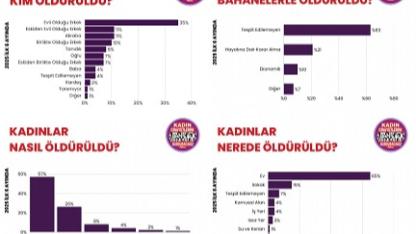 Sessiz Çığlıklar: Kadına Yönelik Şiddet Küresel Bir Kriz