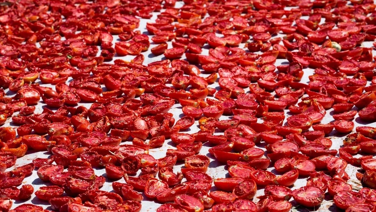 Türkiye, kuru domates ihracatında dünya ikincisi
