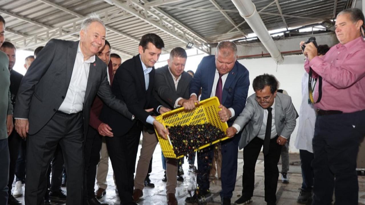 Urla’da Zeytin ve Sanat Festivali Üç Gün Boyunca Renkli Etkinliklerle Gerçekleşti