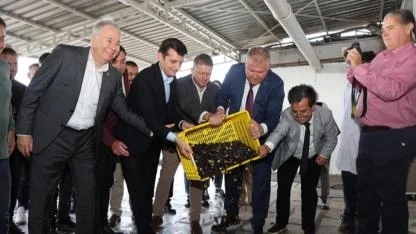 Urla’da Zeytin ve Sanat Festivali Üç Gün Boyunca Renkli Etkinliklerle Gerçekleşti