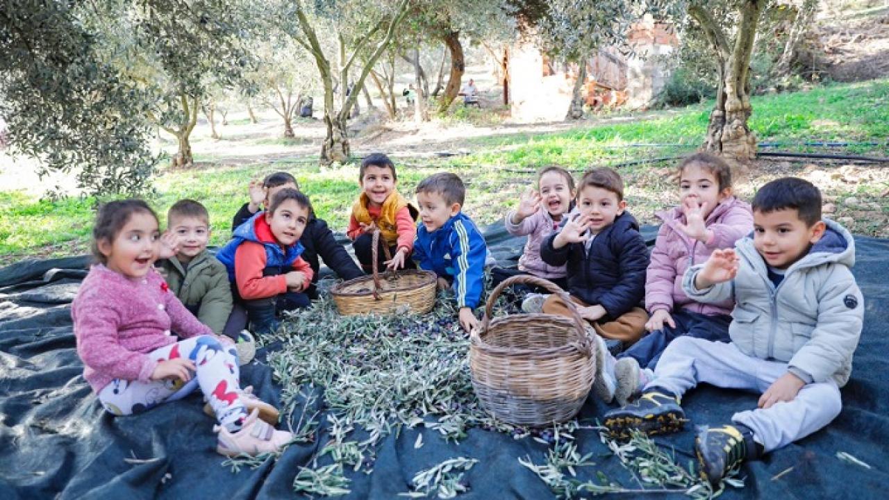 Zeytinler İhtiyaç Sahiplerine Umut Olacak