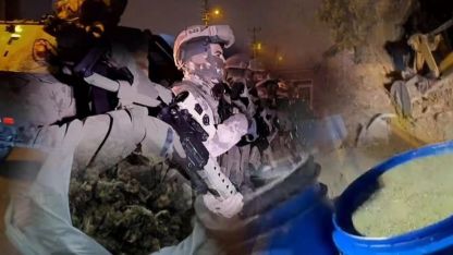 Jandarmadan 29 İlde Büyük Uyuşturucu Operasyonu