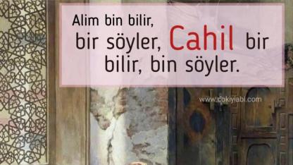 ALİM VE CAHİL