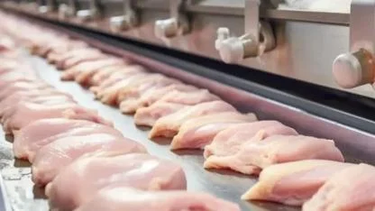 BESD-BİR’den Soğuk Zincir ve Hijyen Uyarısı