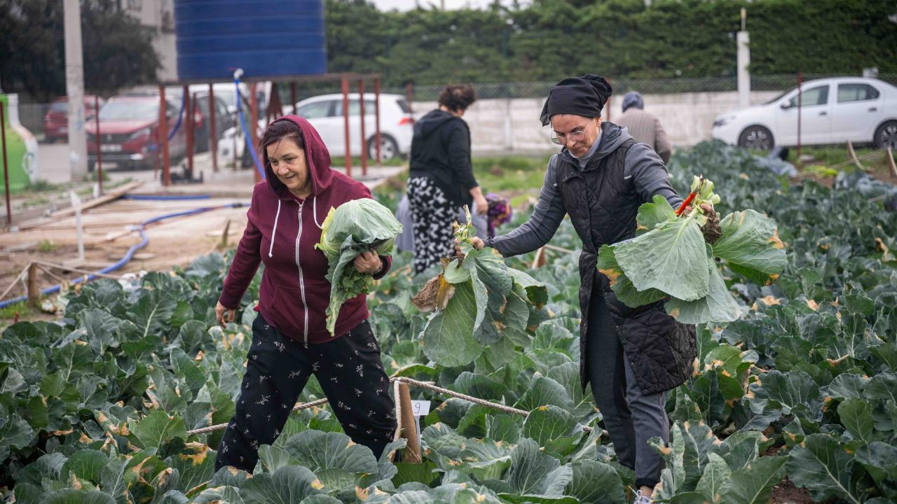 Bornova’nın kent bostanlarında bereketli hasat heyecanı