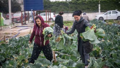 Bornova’nın kent bostanlarında bereketli hasat heyecanı