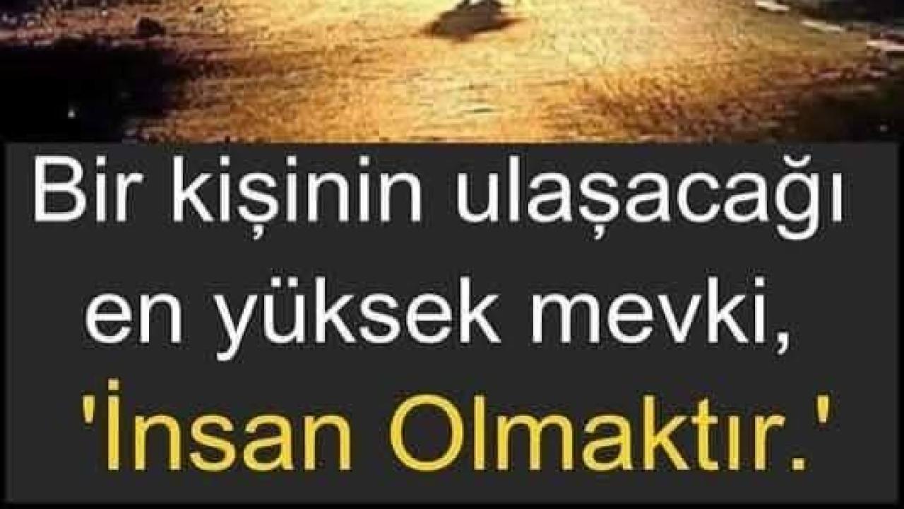 Otomatik Taslak