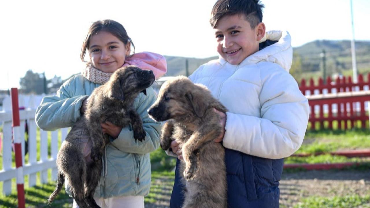 İzmir’de Çocuklara Hayvan Sevgisi Aşılanıyor