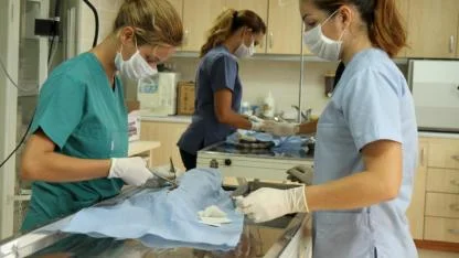 Karşıyaka’dan 40 Bin Can Dosta Şefkat Eli