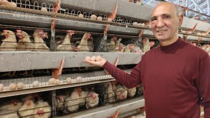 Kuşu’da Yumurta Üretimi Yeniden Canlanıyor