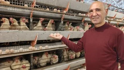 Kuşu’da Yumurta Üretimi Yeniden Canlanıyor