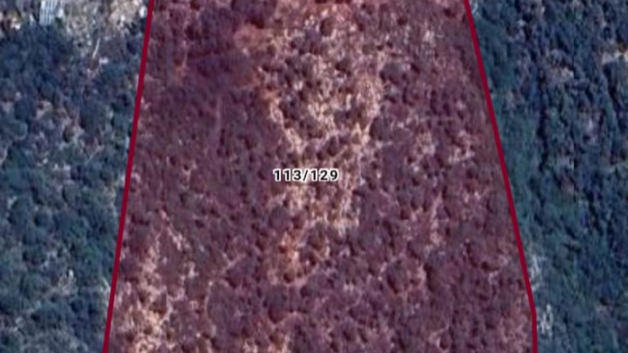 Limanağzı’nda Yol Tepkisi