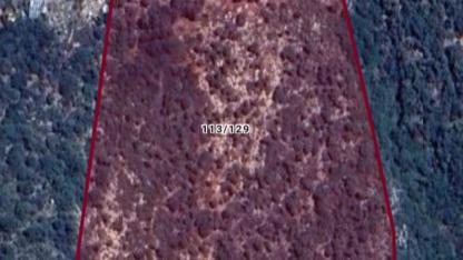 Limanağzı’nda Yol Tepkisi