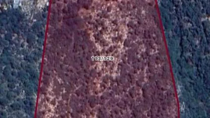 Limanağzı’nda Yol Tepkisi