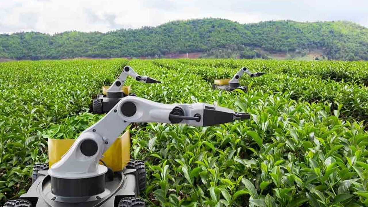 2026 “Kamusal Zekâ Yılı” İlan Edildi