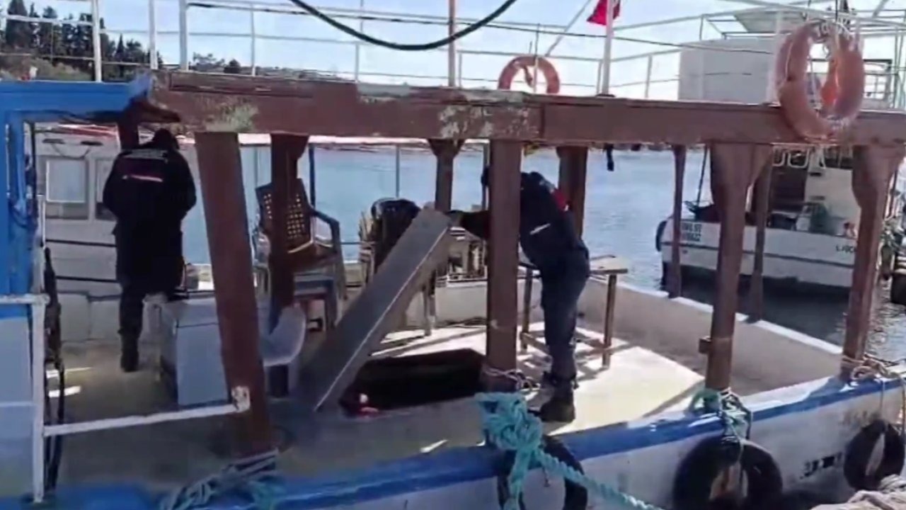 26 İlde Göçmen Kaçakçılığı Operasyonu