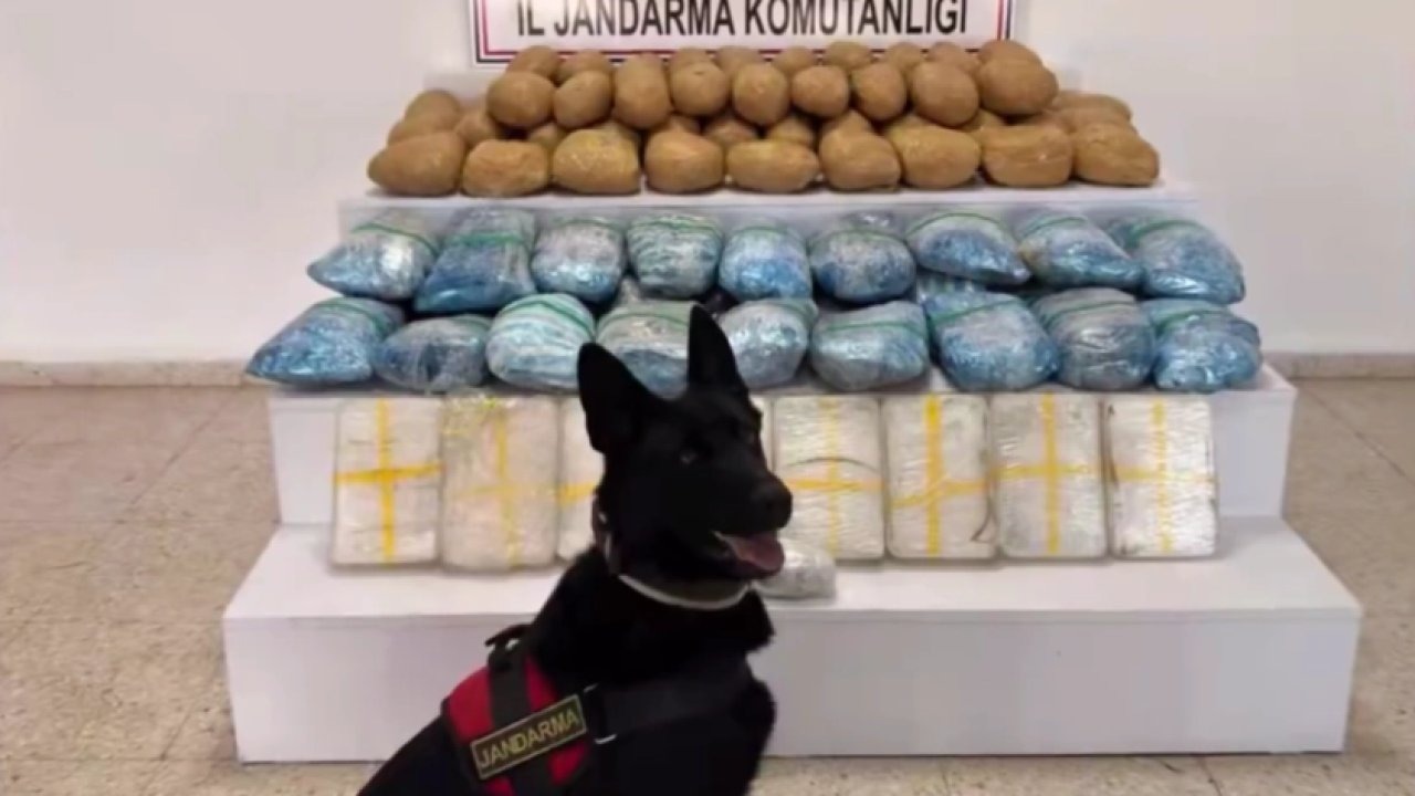 63 ilde uyuşturucuya ağır darbe