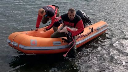 İnciraltı’nda misinaya dolanan flamingo kurtarıldı