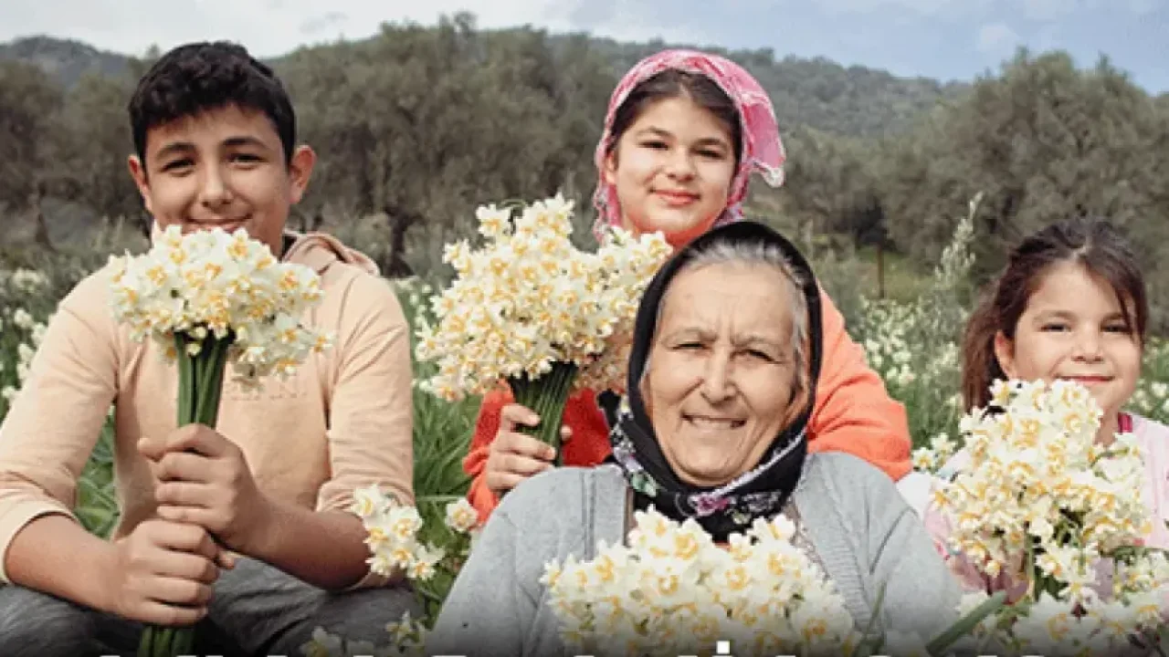 Bayındır’da Nergis Festivali Heyecanı Başlıyor
