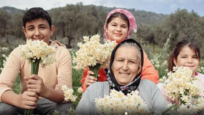 Bayındır’da Nergis Festivali Heyecanı Başlıyor