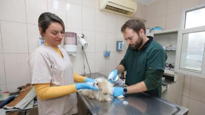 Gaziemir Belediyesi 2025’te 6 Binden Fazla Can Dosta Şifa Oldu