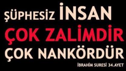İnsan çok zalim ve çok cahildir.
