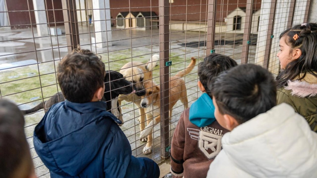 İzmir’de can dostlara bir yılda büyük destek