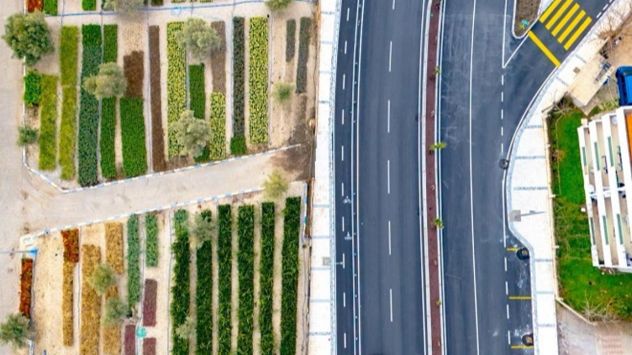 İzmir’in Yeşil Geleceği Fidanlıklarda Büyüyor