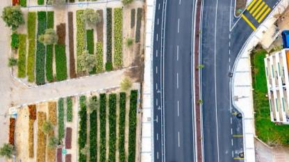 İzmir’in Yeşil Geleceği Fidanlıklarda Büyüyor