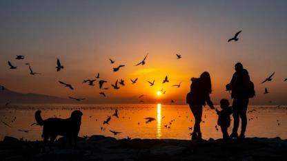 Kardeş Şehirler Objektifte Buluşuyor