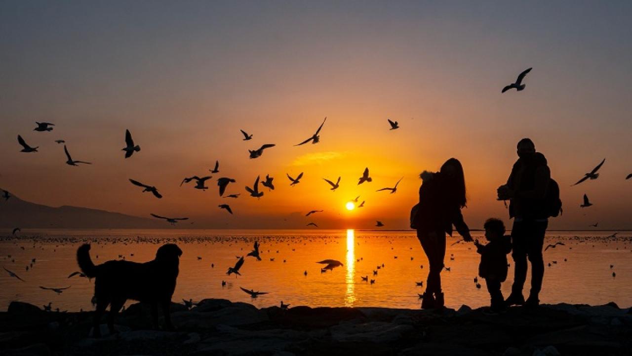 Karşıyaka’dan kardeş şehirlere sanat köprüsü