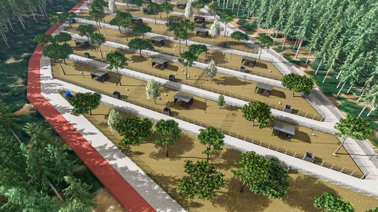 Kemalpaşa’da sokak hayvanları için kapasite üç katına çıktı